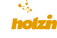 Holzin AG
